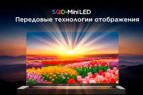 Omdia высоко оценила технологию SQD Mini LED от TCL
